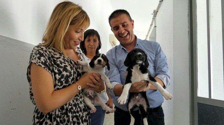 Emperrados, de la Diputación de Albacete, referente en sensibilización con la población canina como protagonista