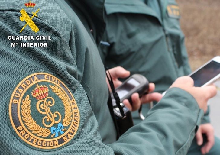 Investigadas cinco personas de Albacete, Ávila, Madrid y Granada por cazar corzos en Soria