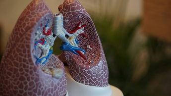 Las medidas más efectivas para prevenir la silicosis en la industria de la construcción