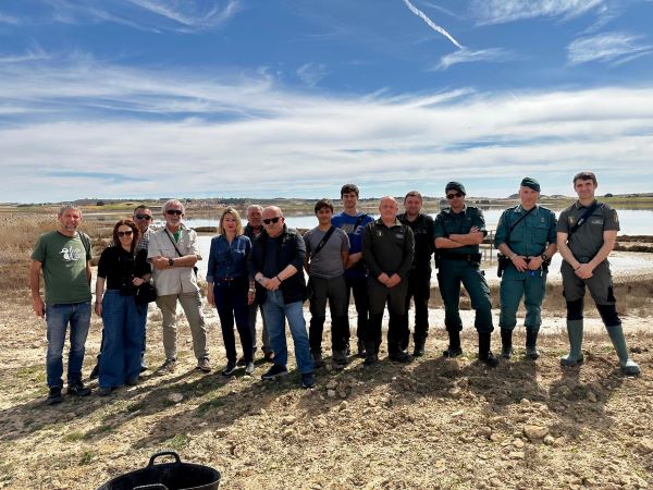 Suelta de diez cercetas pardillas en la Laguna Salada de Pétrola: un paso crucial para su conservación