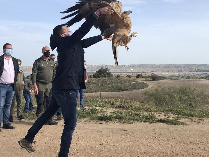 Castilla-La Mancha impulsa el turismo de naturaleza organizando actividades con motivo del Día Mundial de las Aves