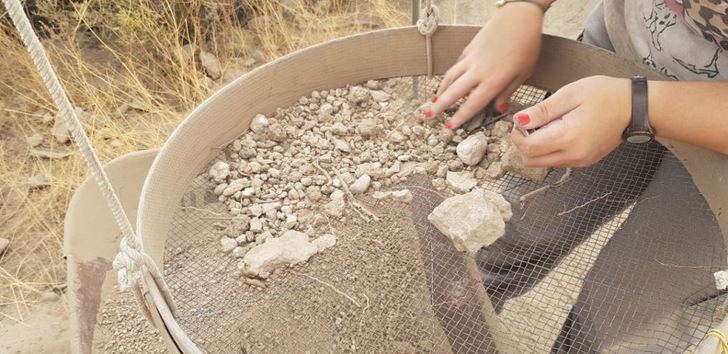 Nuevos estudios tratarán de conocer la dieta de los antiguos habitantes del Tolmo de Minateda