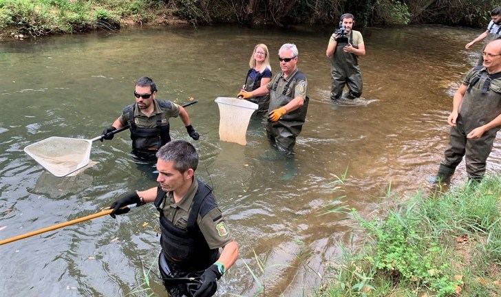 Conservar la trucha común y hacerlo compatible con la pesca deportivo, prioridad de la Junta en la sierra de Albacete