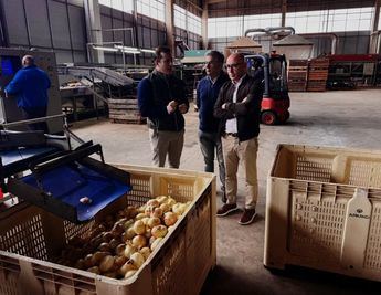La nueva planta industrial de cebollas en Albacete incorpora tecnologías sostenibles y eficientes energéticamente