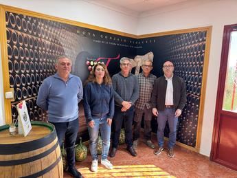 Castilla-La Mancha destina 153.000 euros para modernizar el sector del vino en Hoya-Gonzalo