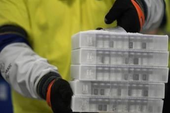 El Ministerio de Sanidad calcula que las primeras vacunas llegarán a partir del 