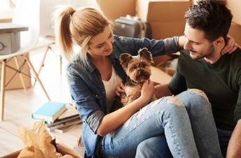 Protegiendo a tu compañero peludo: seguros para perros y la nueva Ley