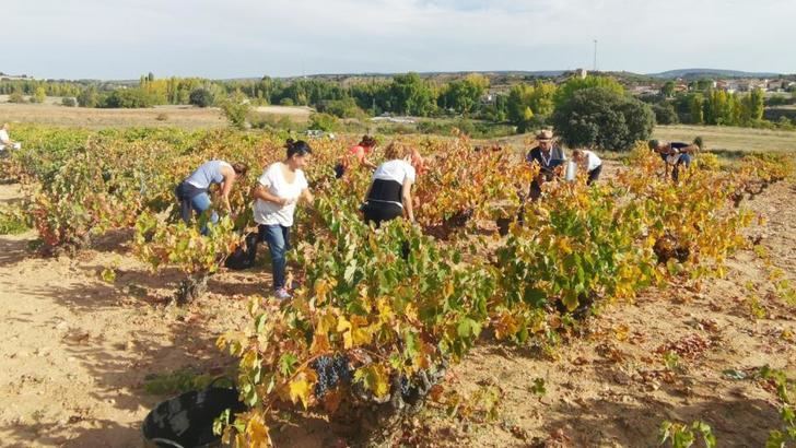 Castilla-La Mancha conmemorará el Día de la Mujer Rural con medio centenar de actividades en la provincia de Albacete