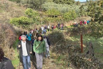Las vías pecuarias: corredores de biodiversidad y patrimonio histórico que necesitan protección urgente