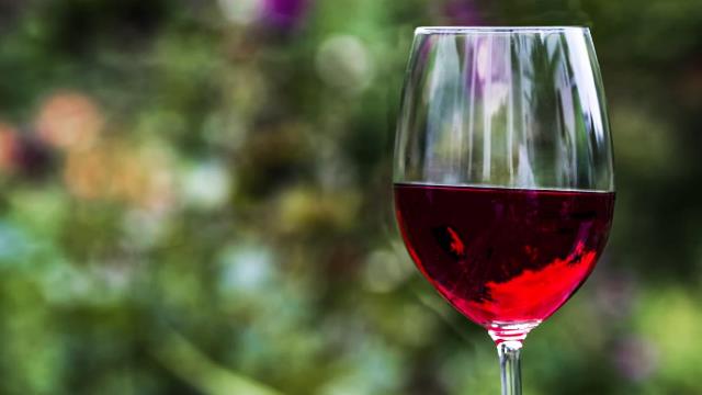 Castilla-La Mancha será sede en julio de un encuentro entre bodegas de la región y compradores internacionales de vino
