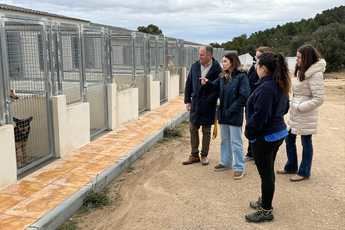 Mejoras en el Centro de Recogida de Perros de Albacete Nuevas instalaciones para garantizar el bienestar animal