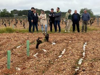 Visita del presidente de la Diputación Madrigueras y Tarazona de la Mancha tras la tormenta de granizo