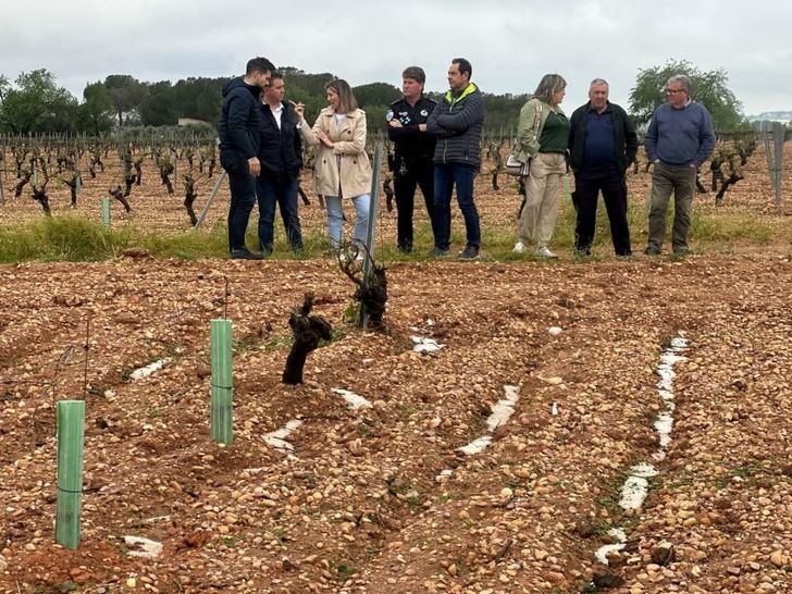 Visita del presidente de la Diputación Madrigueras y Tarazona de la Mancha tras la tormenta de granizo